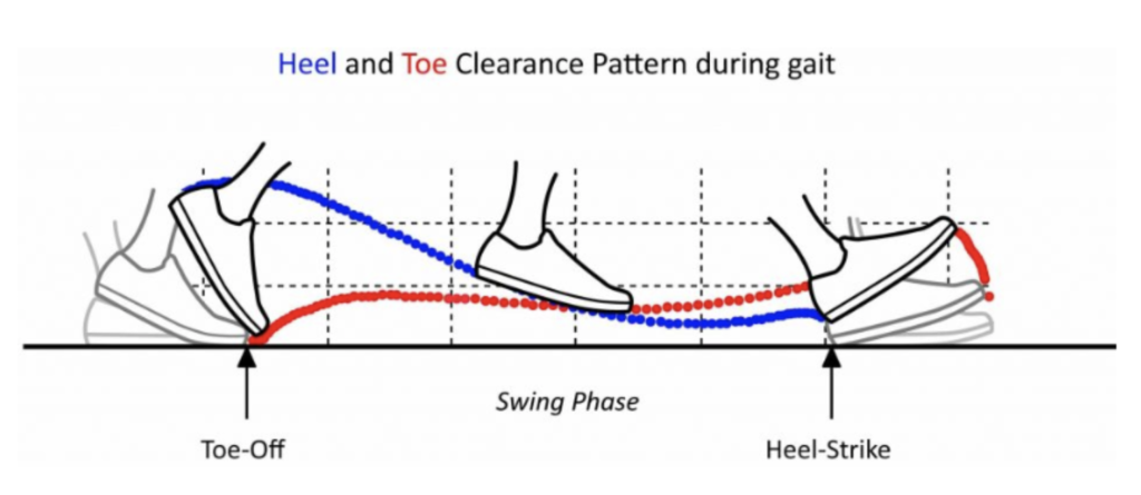 Heel toe. Toes перевод. Gait Kinematics. Gait Cycle Heel Strike midstance Toe off. Heel-and-Toe shifting.